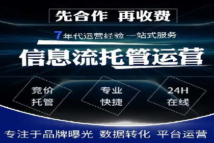 SEM竞价入门指南，经典案例分享